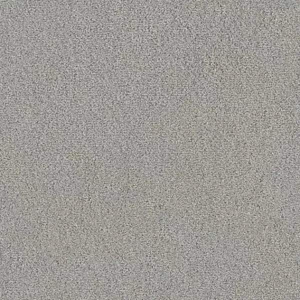 Draufsicht Girloon TWIN Teppichboden Velours 520 Grau, 2/4 m breit